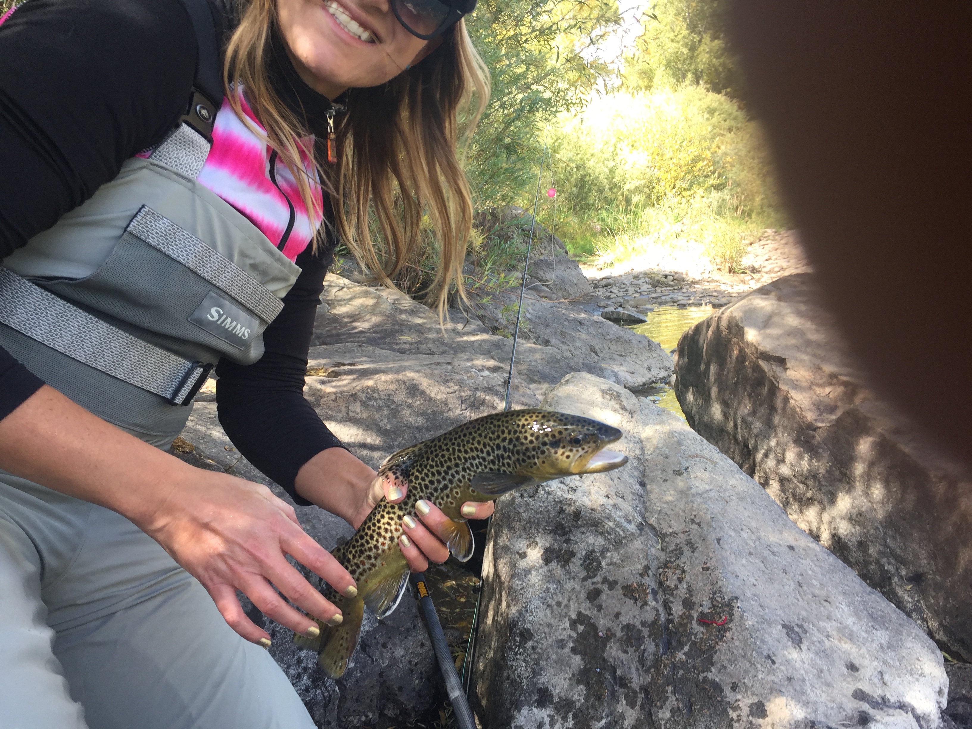  Royal Gorge Route Railroad tours - 10 miles 